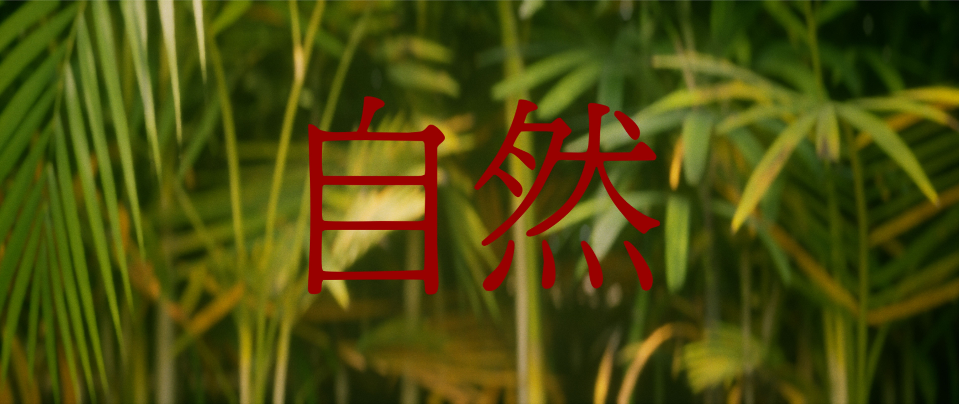 https://cdn3.xsolla.com/files/uploaded/29100/4ed161ff26a9e1117f8a8fad0a71df64.png